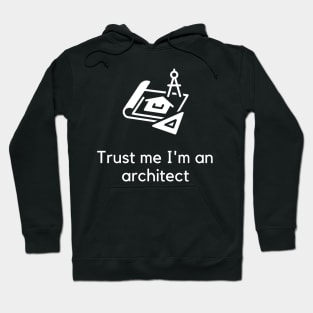 Trust me I'm an architect Hoodie